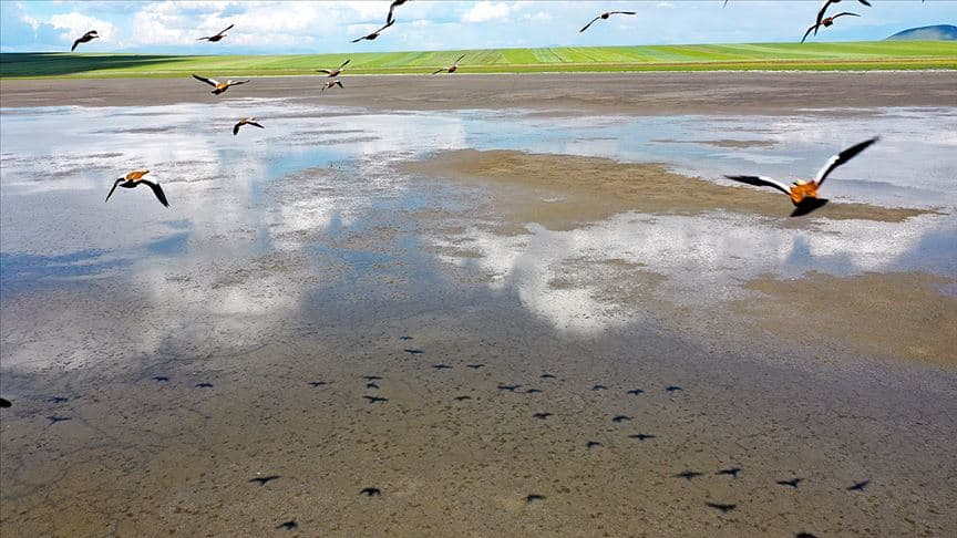 kuyucuk lake bird sanctuary and nature